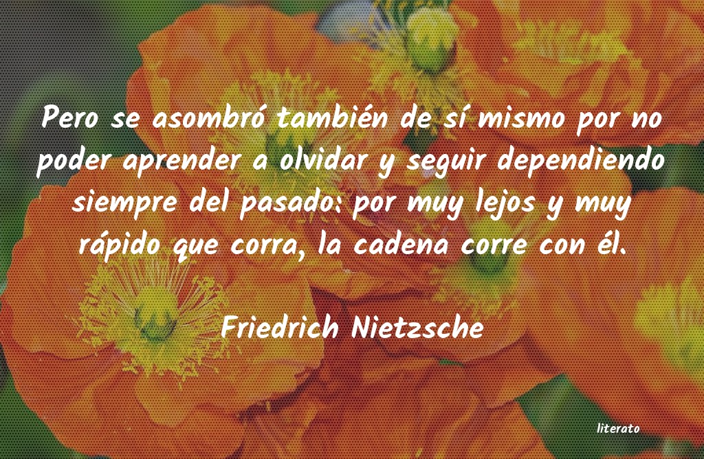 Frases de Friedrich Nietzsche