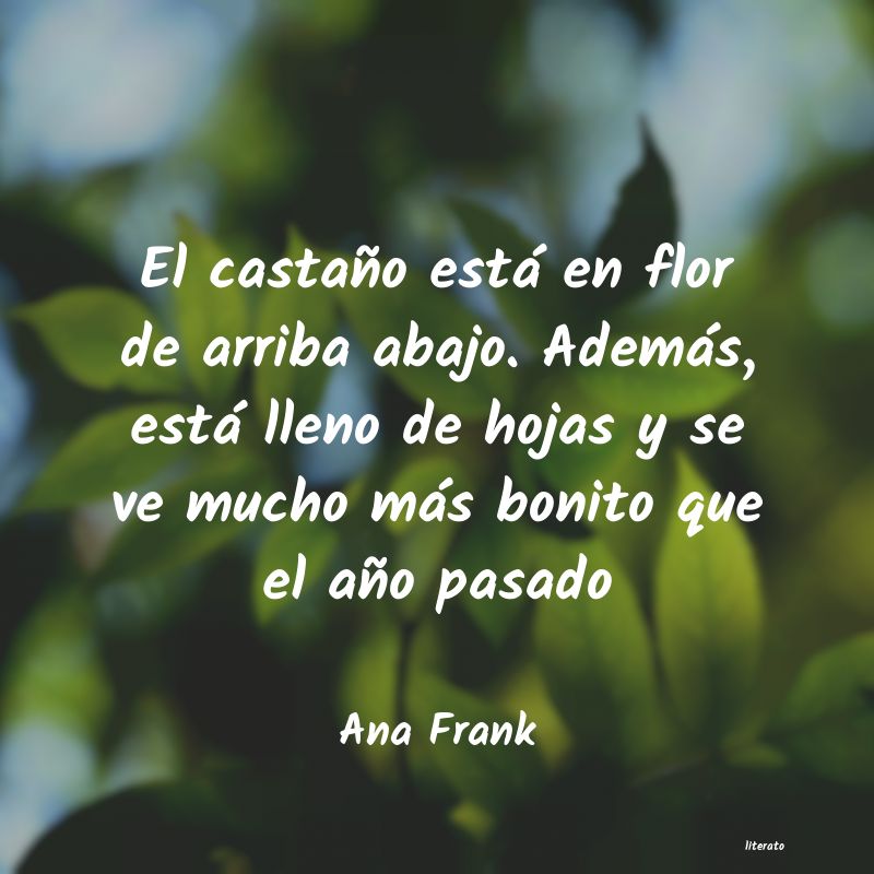 frases de Ana Frank