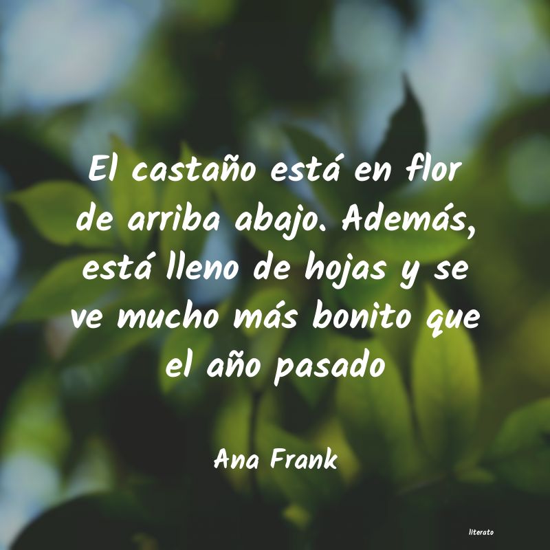 Frases de Ana Frank