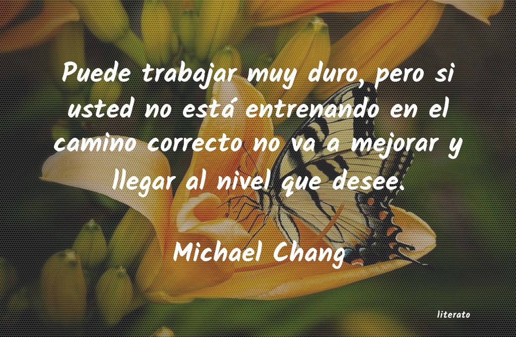 Frases de Michael Chang