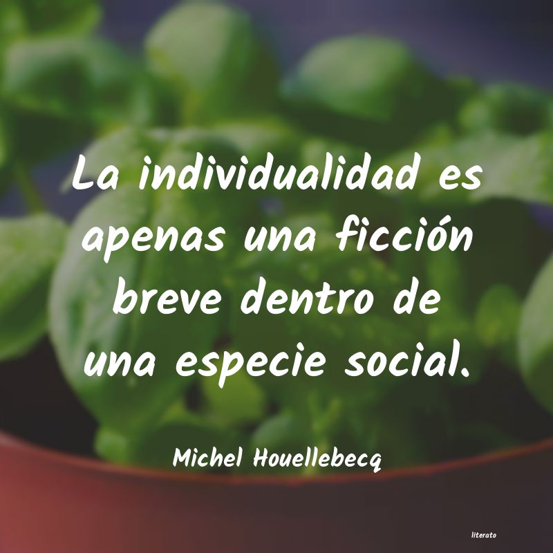 frases de Michel Houellebecq