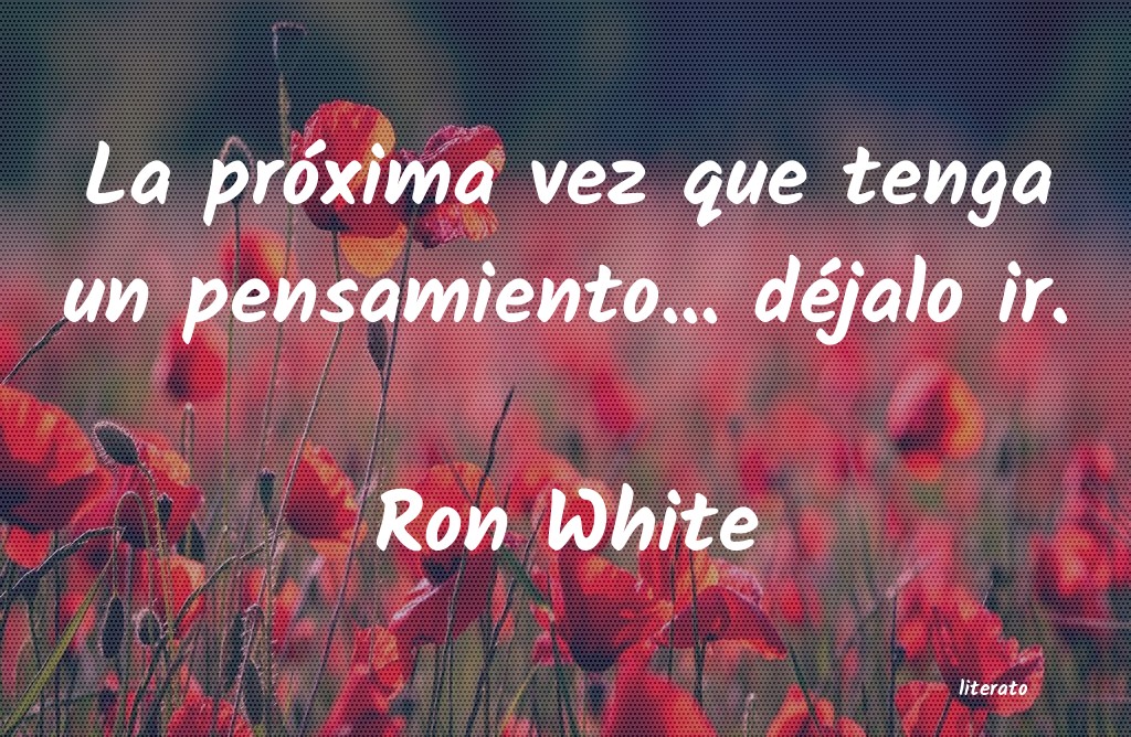 frases de Ron White
