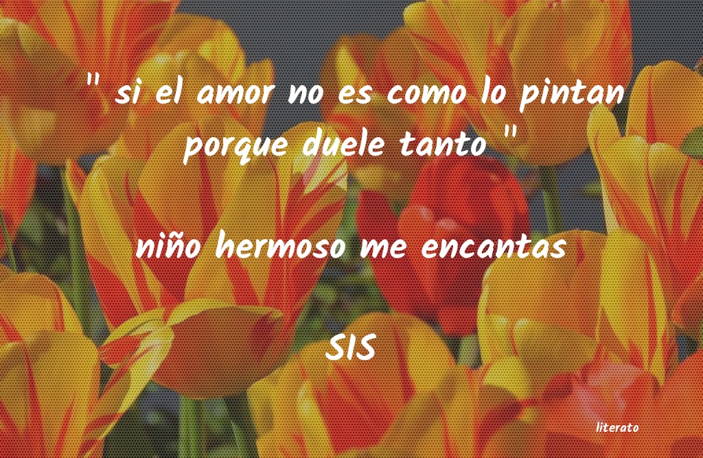 frases de SIS