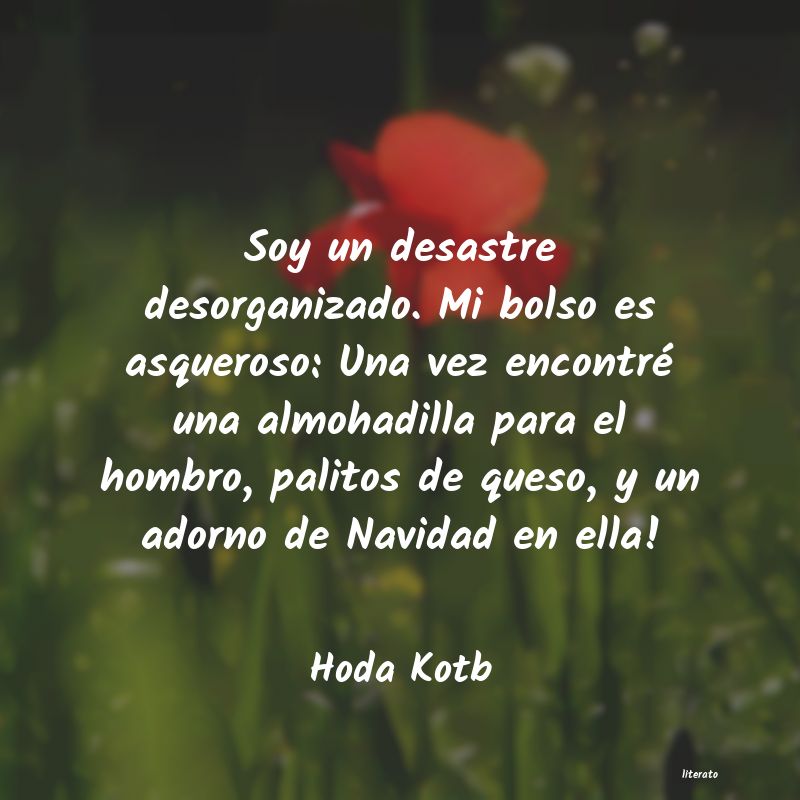 Frases de Hoda Kotb