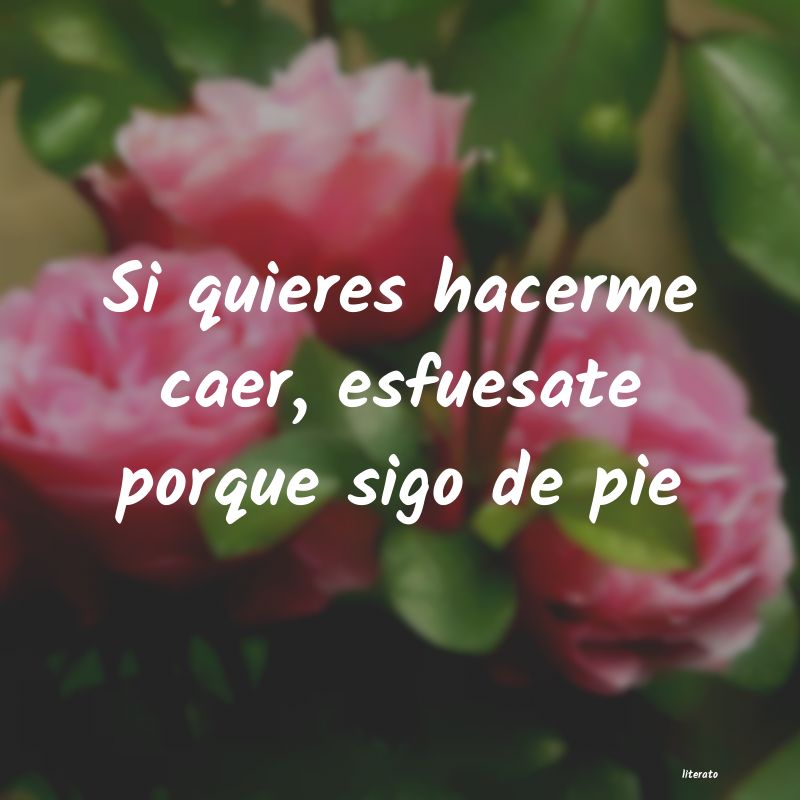 Frases de 