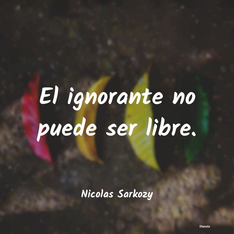 frases de Nicolas Sarkozy
