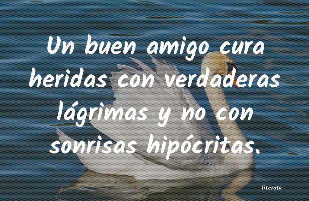 frases