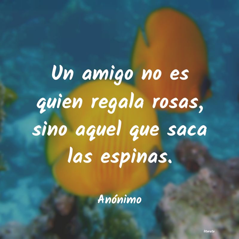 frases