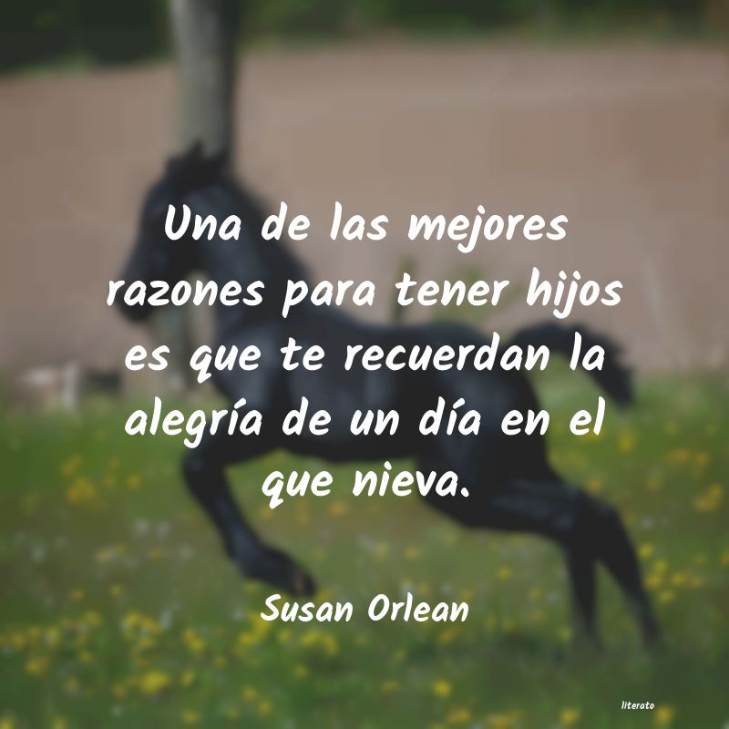 Frases de Susan Orlean