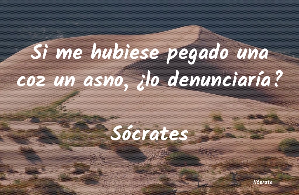 Frases de Sócrates