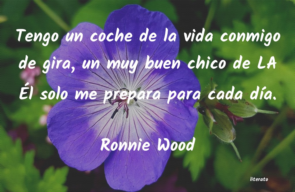 frases de Ronnie Wood