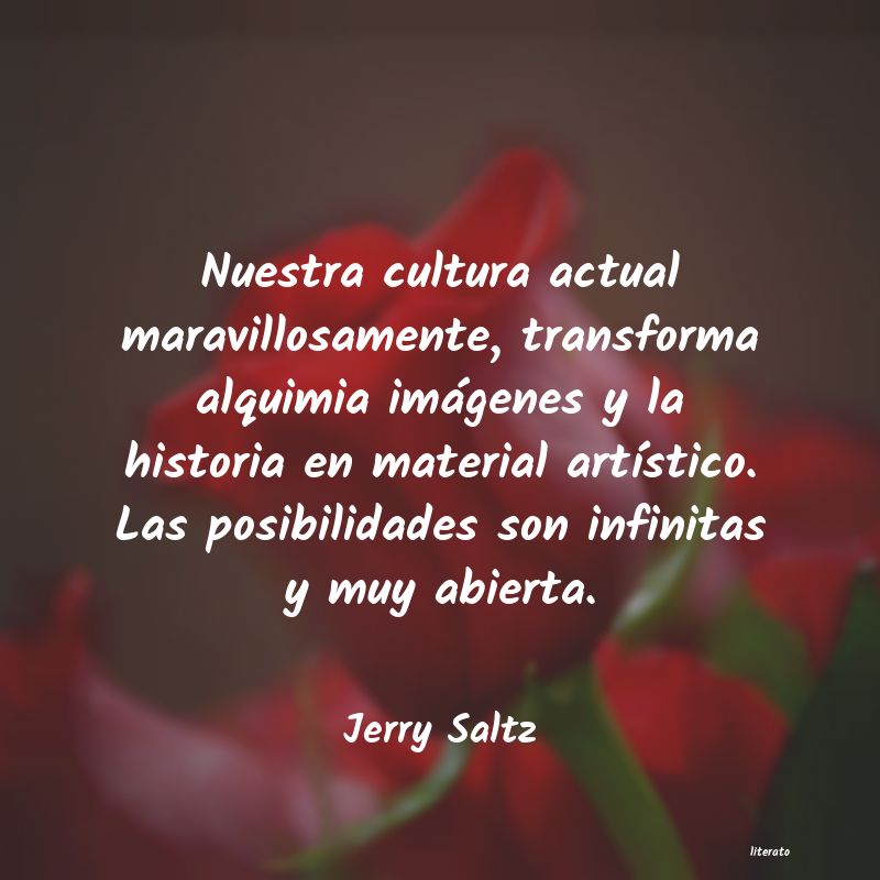 Frases de Jerry Saltz