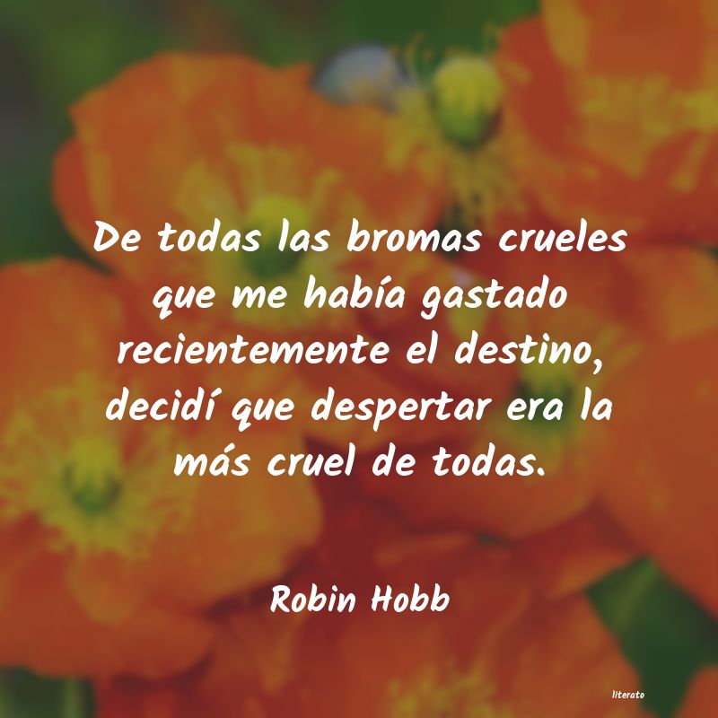 Frases de Robin Hobb