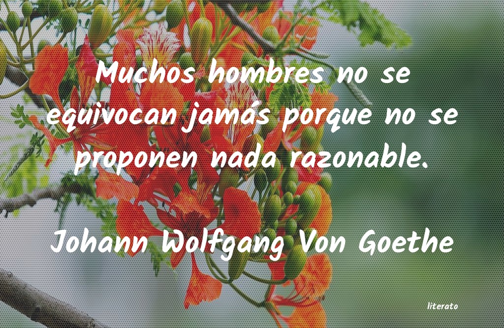 frases de Johann Wolfgang Von Goethe