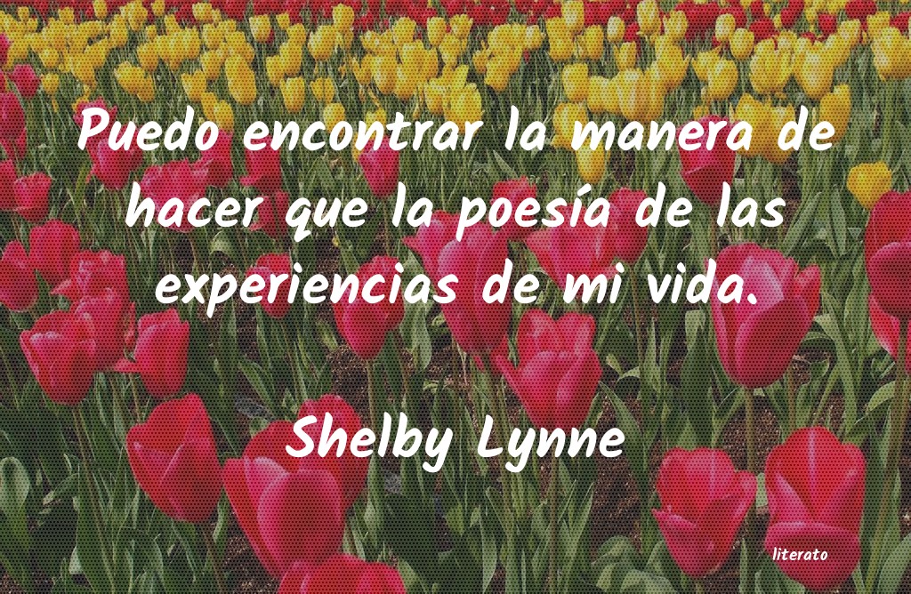 Frases de Shelby Lynne