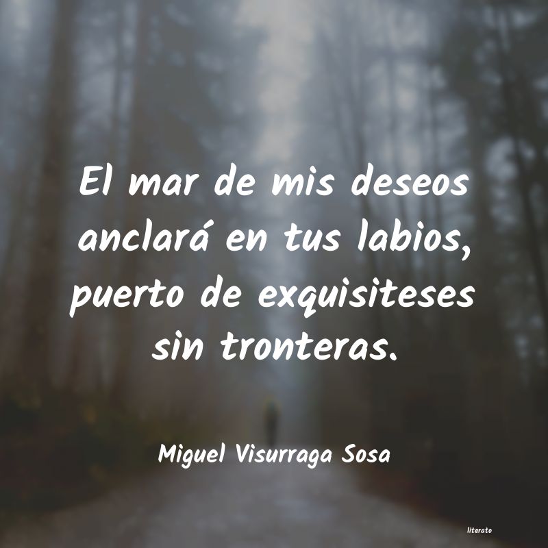 frases de Miguel Visurraga Sosa