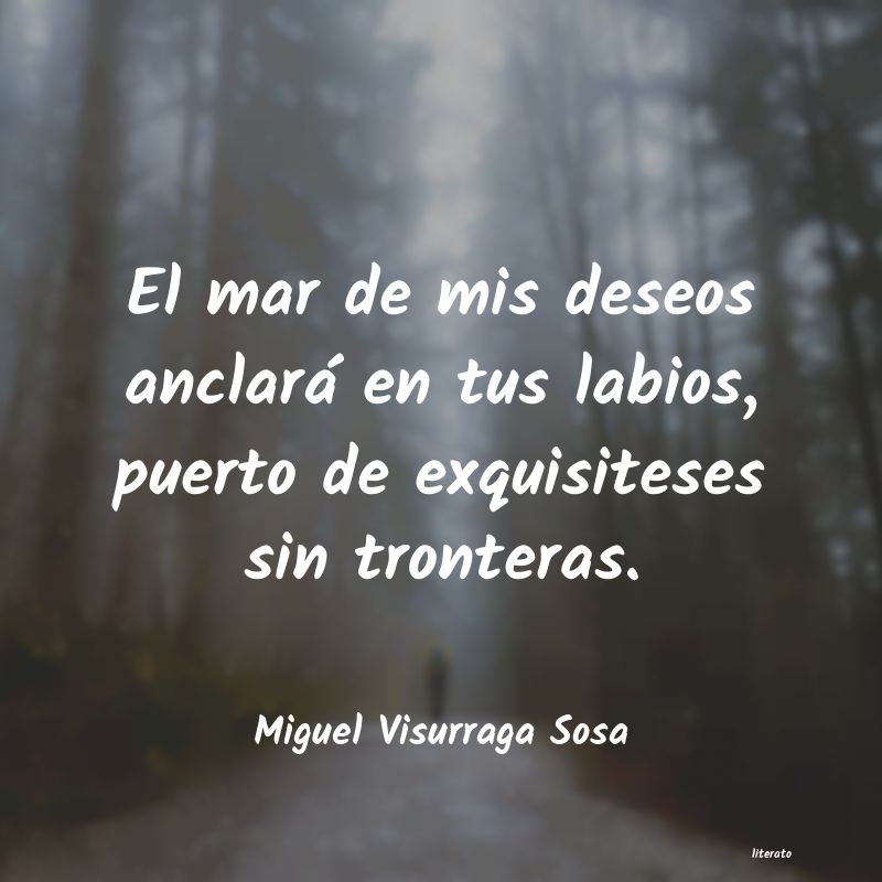 Frases de Miguel Visurraga Sosa