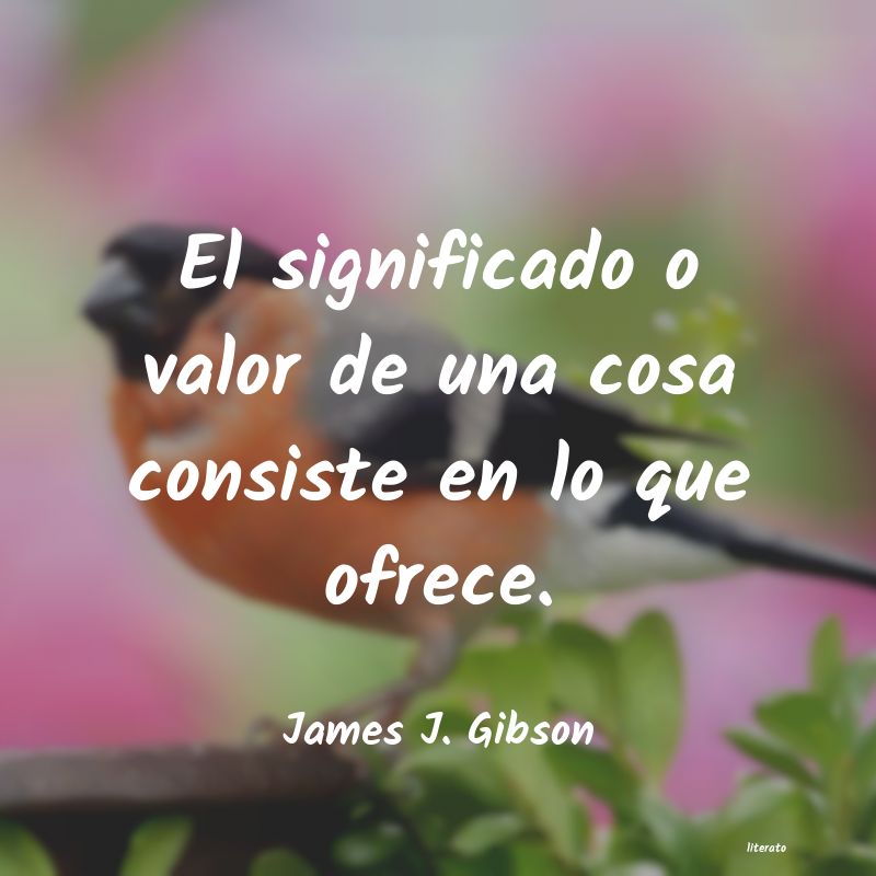 Frases de James J. Gibson