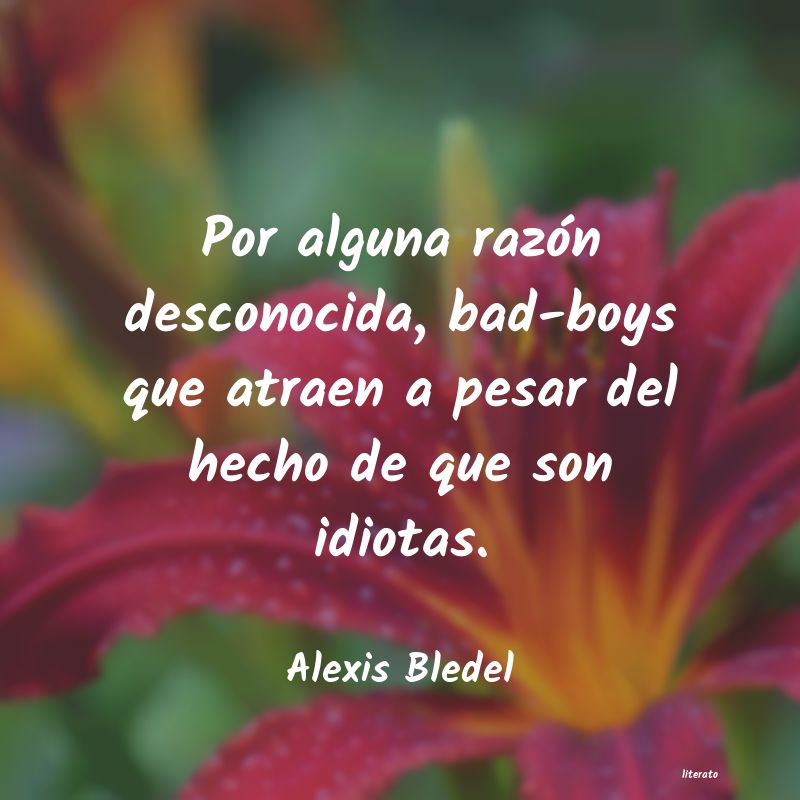 frases de Alexis Bledel