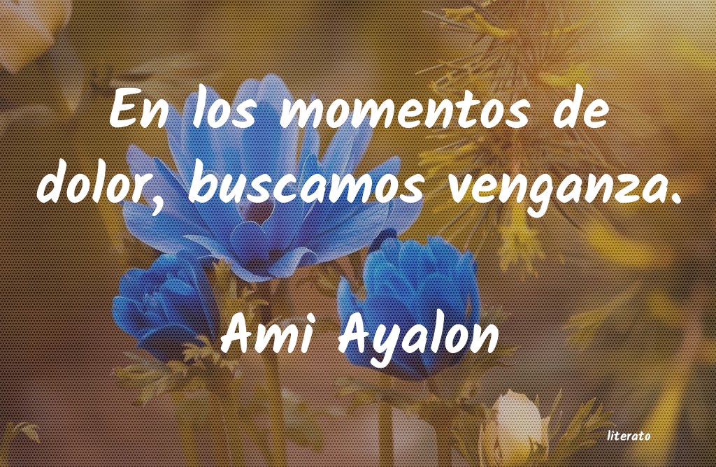frases de Ami Ayalon