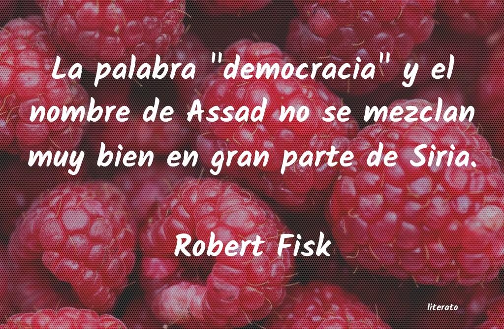 Frases de Robert Fisk