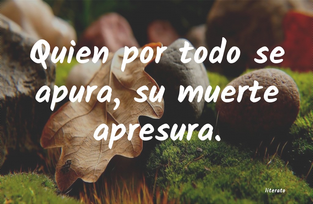 frases