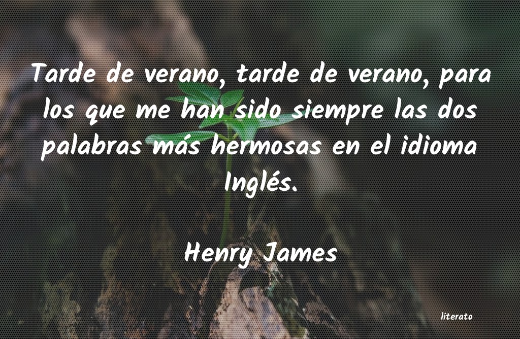 Frases de Henry James