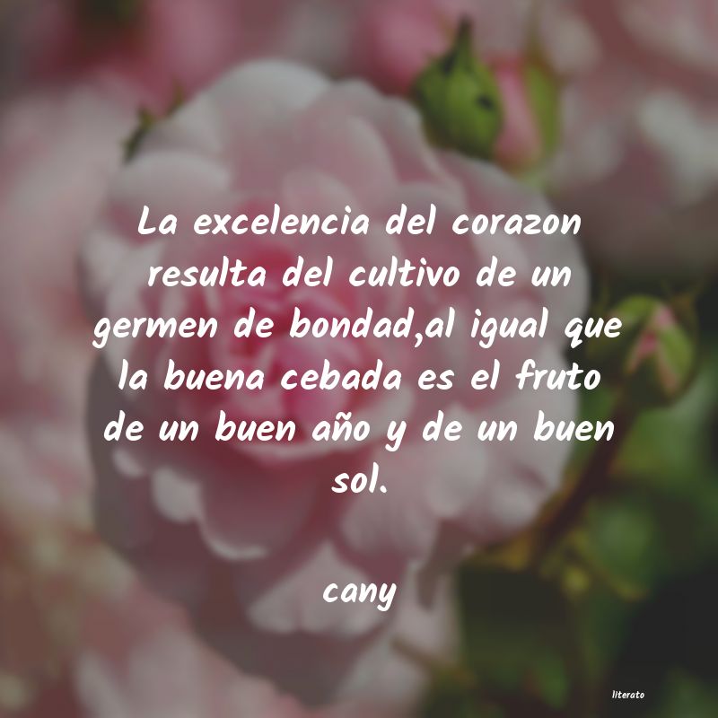 Frases de cany