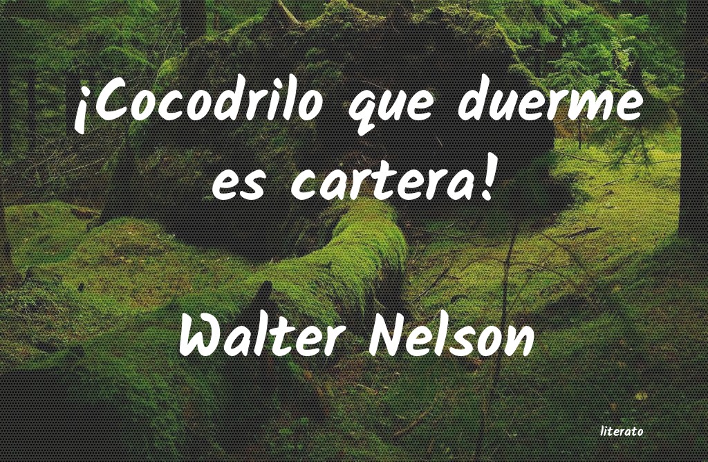 Frases de Walter Nelson