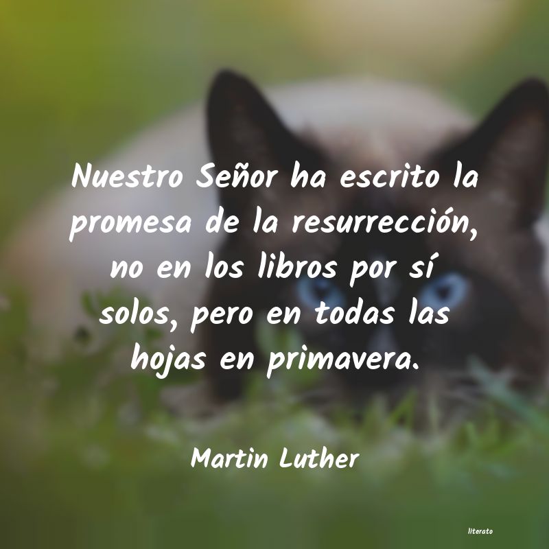 Frases de Martin Luther