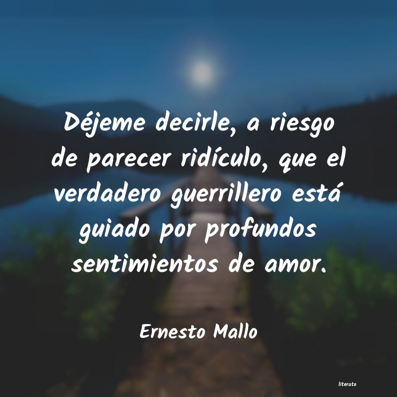 Frases de Ernesto Mallo