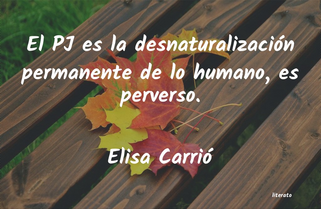 Frases de Elisa Carrió