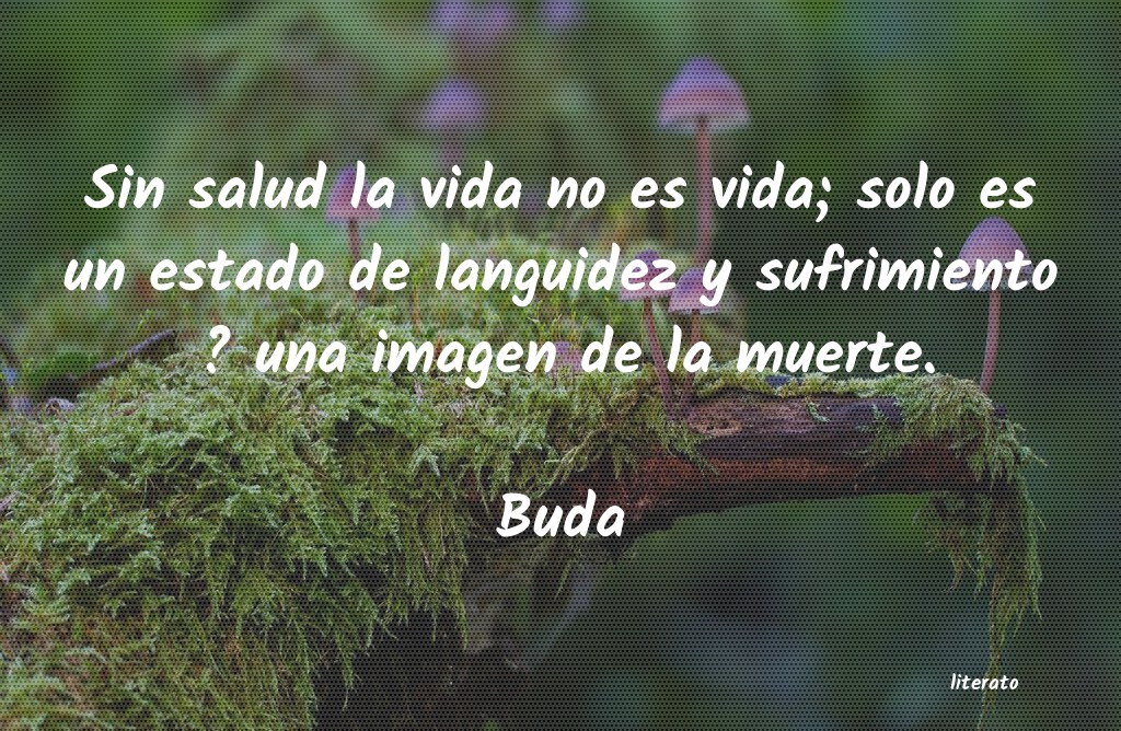 Frases de Buda