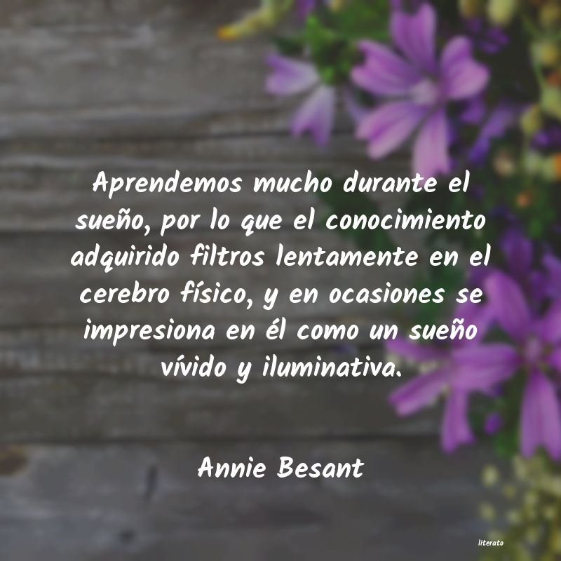 Frases de Annie Besant