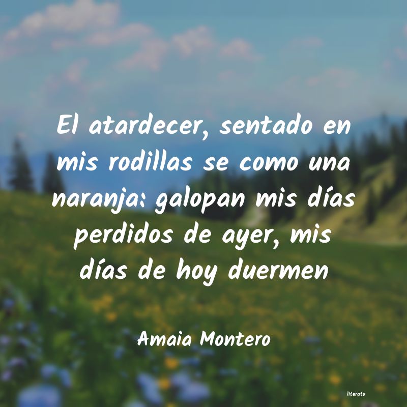 Frases de Amaia Montero