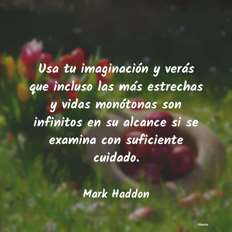 Frases de Mark Haddon