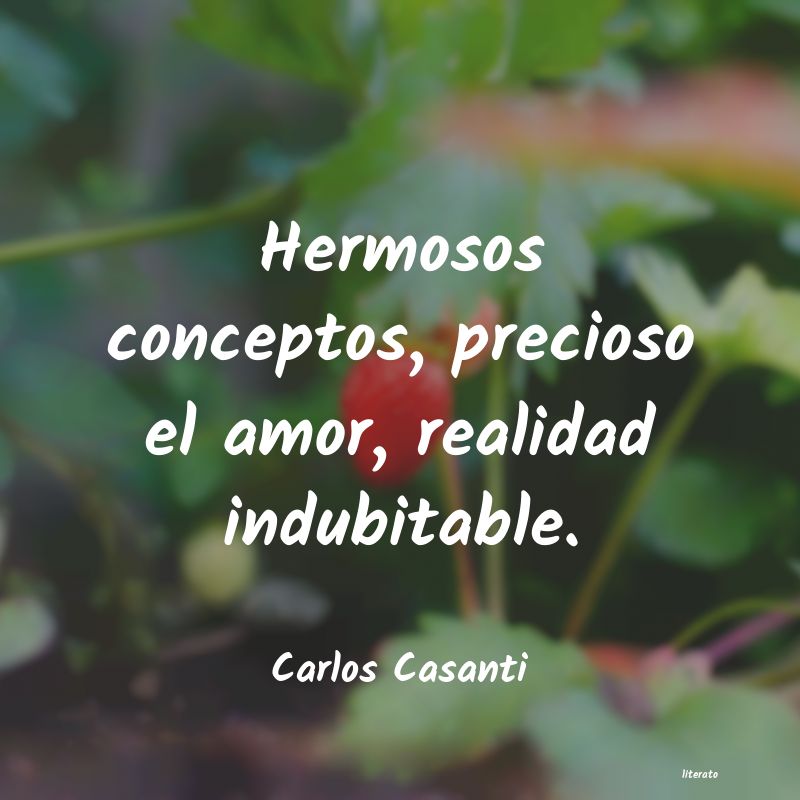 Frases de Carlos Casanti