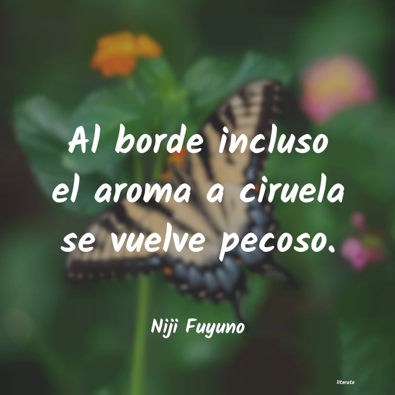 frases de Niji Fuyuno