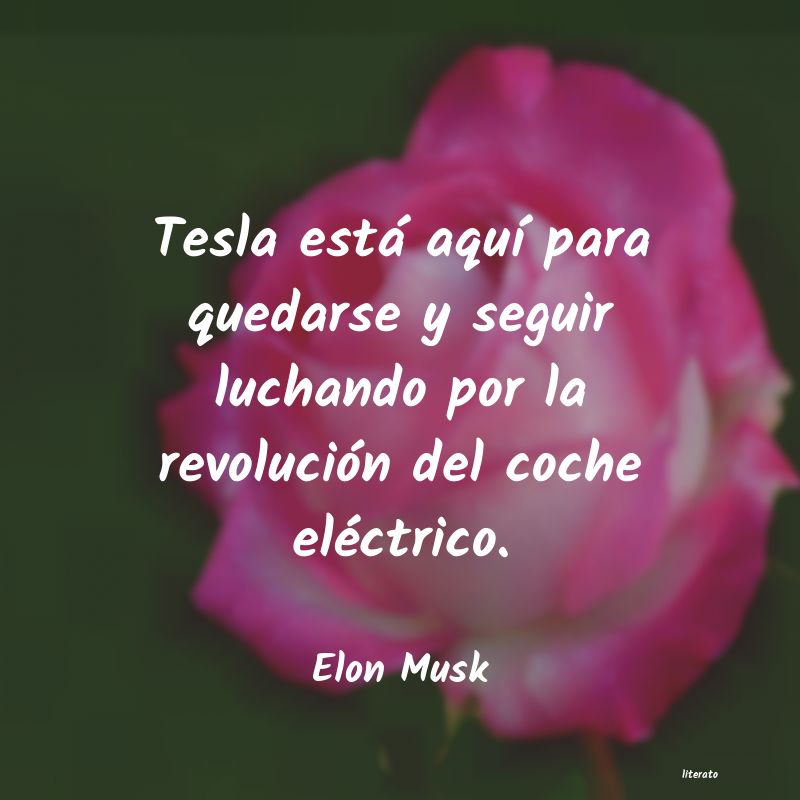 Frases de Elon Musk