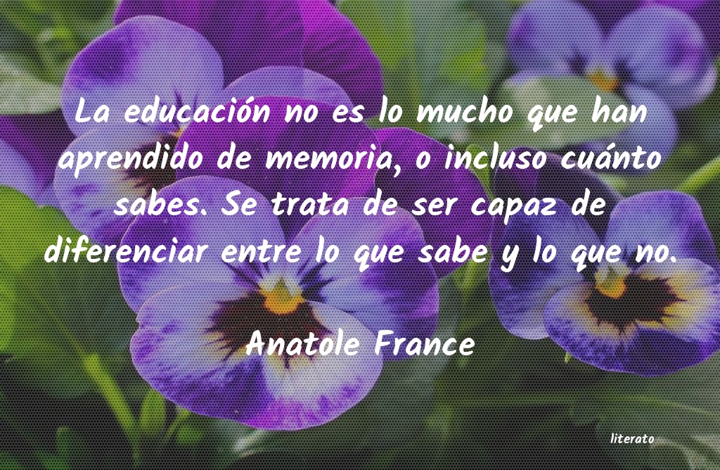 Frases de Anatole France