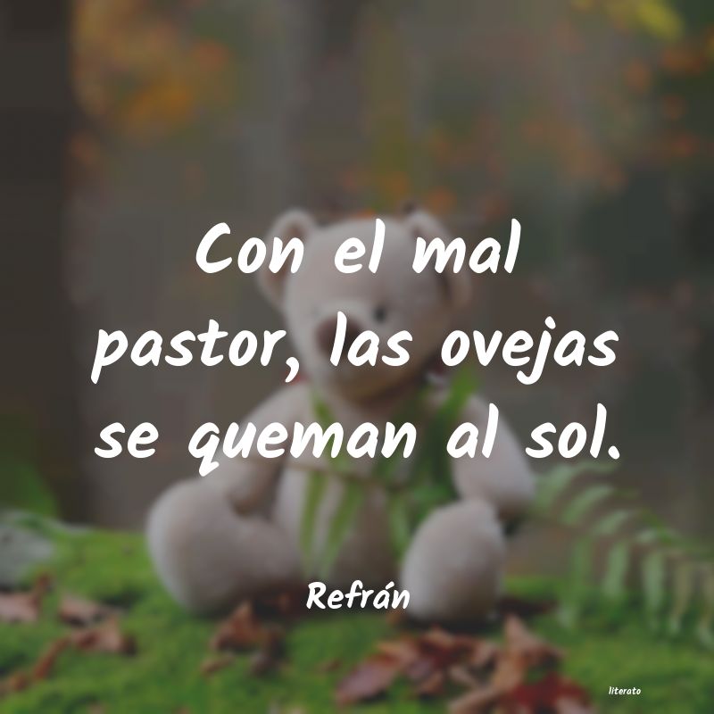 frases de Refrán