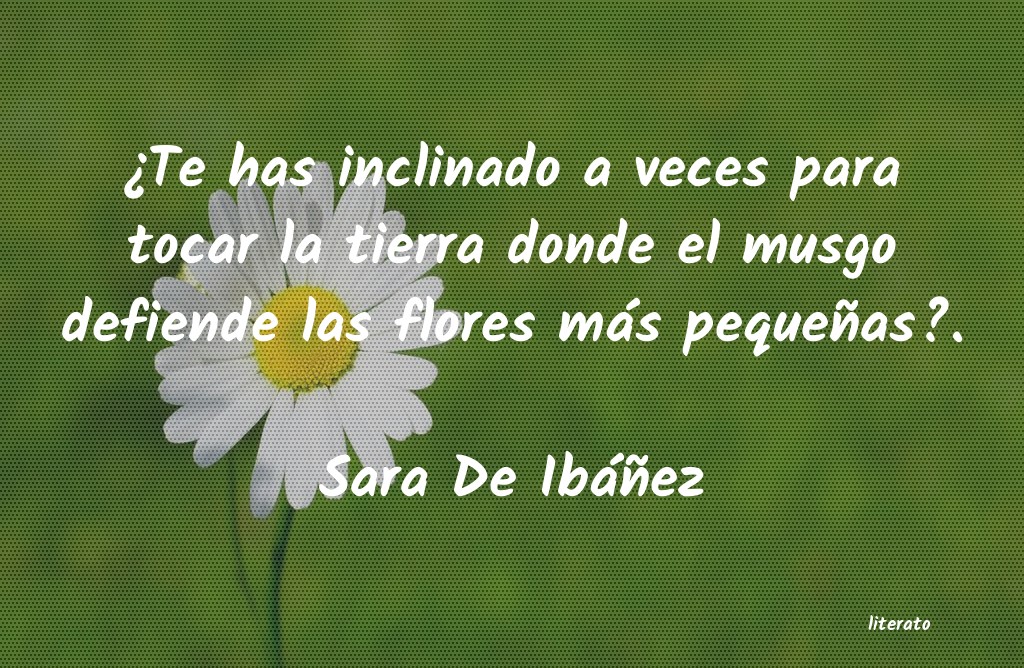 Frases de Sara De Ibáñez