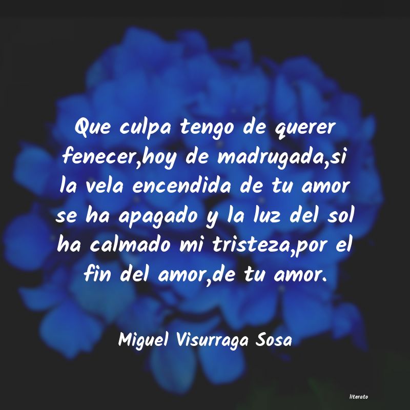 Frases de Miguel Visurraga Sosa