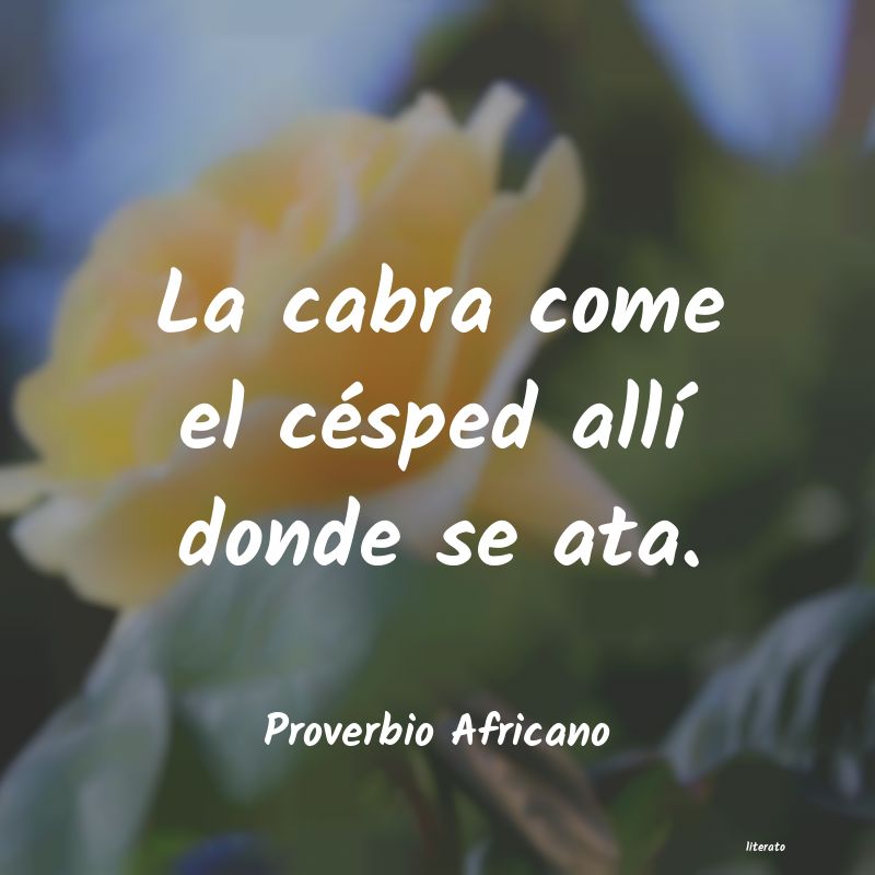 Frases de Proverbio Africano