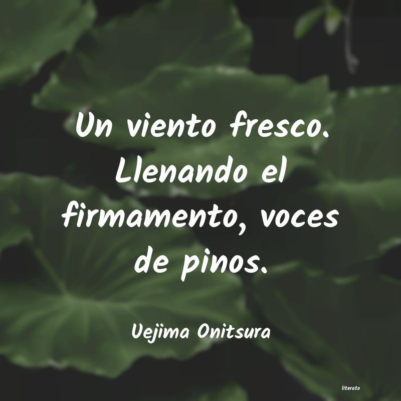 Frases de Uejima Onitsura