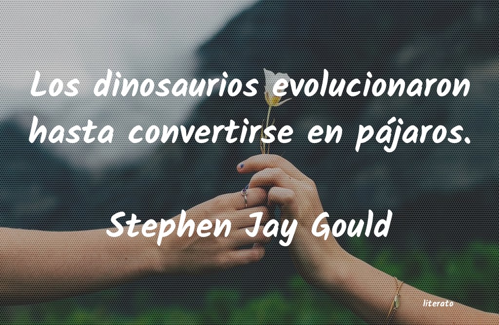 frases de Stephen Jay Gould