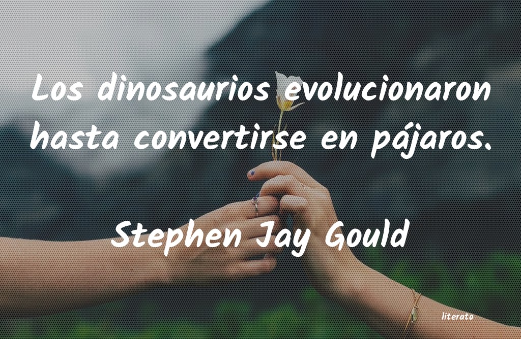 Frases de Stephen Jay Gould