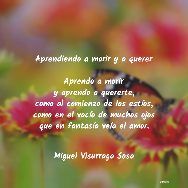 Frases de Miguel Visurraga Sosa