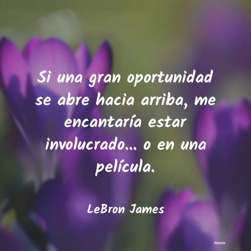 Frases de LeBron James