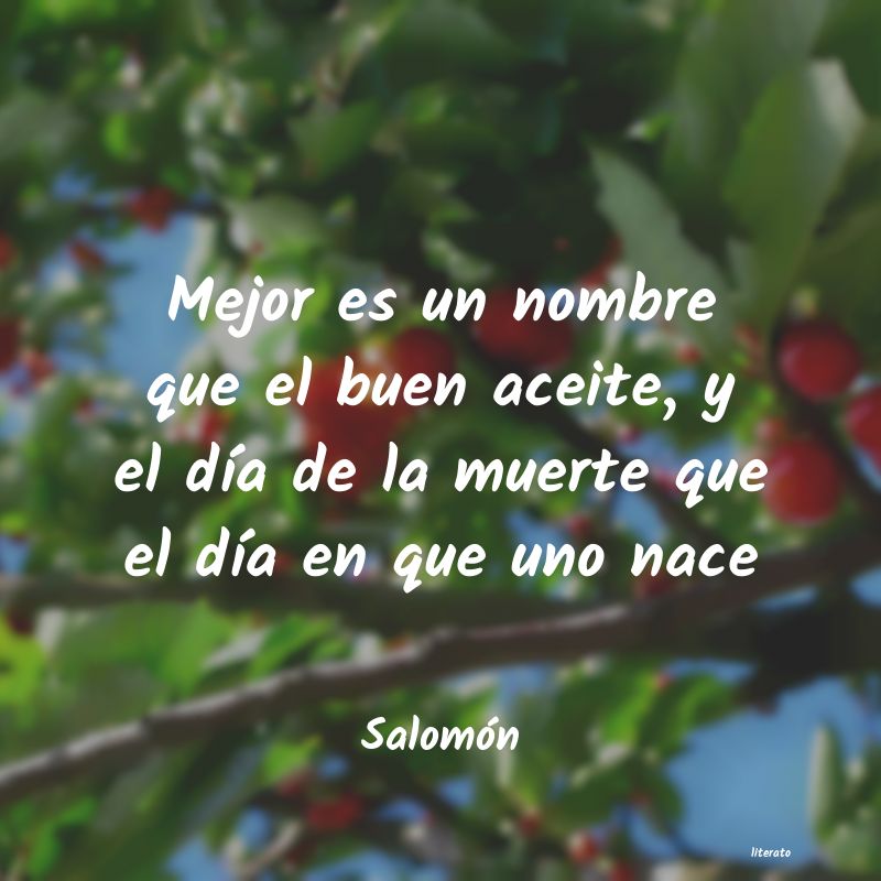 Frases de Salomón